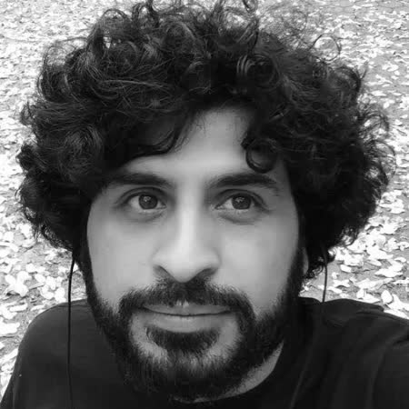 Blog post by Javad Hashemi
